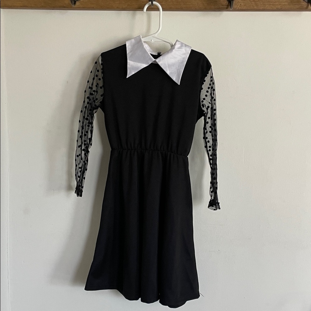 Wednesday Adams Costume